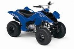 Thumbnail 2008 YAMAHA RAPTOR 80 ATV REPAIR SERVICE MANUAL PDF DOWNLOAD